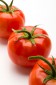 Tomaten